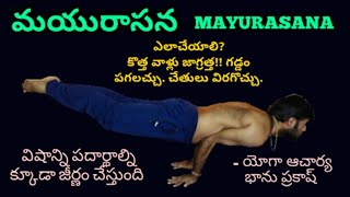 How to do Mayurasana #PeacockPose #Muyurasana #OpeningofShushumna #Digest #YogaAcharyaBhanuPrakash