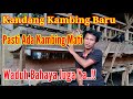 Kandang Baru Pasti Ada Kambing Mati..!! Simak Penjelasannya Agar Tidak Salah Faham