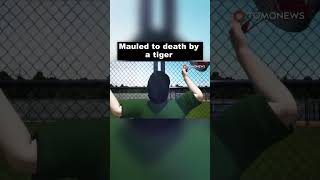 Worst Ways People Have Died (pt27) #shorts #tiktok #death