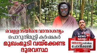 Njanund Ivide Chodikkan | വെള്ളറടയിലെ വാനരശല്യം | Troubled By Monkeys | Vellarada News