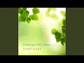 Si Bheag Si Mhor Arr. For Solo Piano