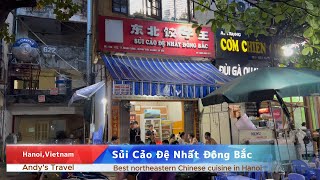 【东北饺子王】Best northeastern Chinese cuisine in Hanoi?｜ハノイで美味しい中国東北料理を発見！｜在河内吃了顿东北菜~可惜没见到东北老铁！