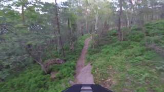 MTB i Årstaskogen 2017-06-21