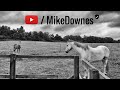 Welcome to My Channel by Mike Downes