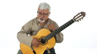Classical Guitar Lesson - Drume Negrita: Overview - Fareed Haque