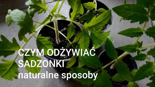 Czym nawozić sadzonki - naturalne sposoby