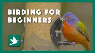 Birding for Beginners