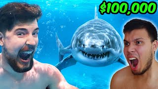 ¿Nadarías con Tiburones por $100,000 dólares?