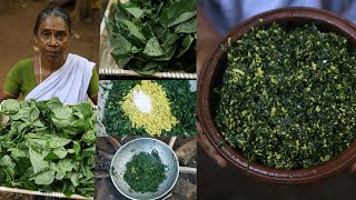 പോഷക സമ്പുഷ്ടമായ പയർ ഇല തോരൻ | Kerala Style Beans Leaf Stir Fry  | Healthy Thoran Recipe