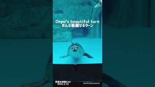 おんぷ行かないで(つд⊂) Onpu 男鹿水族館GAO