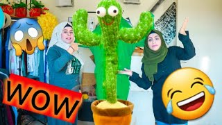 جبنا اكبر صبارة في لبنان الراقصه 🤣🤣💃💃