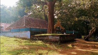 Part 1- Mulanjur Bhagavathi Temple | A Temple surrounded by dense forest | Palakkad | Kerala