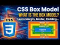 CSS Box Model Explained for Beginners | Margin, Border, Padding