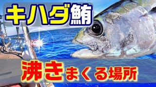 【台湾で釣りチャレンジ】キハダマグロに挑戦。船内は日本人は私一人。台湾の人達と一緒に楽しみました。蔚藍的大海。 我第一次嘗試黃鰭金槍魚。 我是日本船上唯一的人，但在臺灣人的説明下，我能夠享受它。