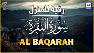 سورة البقرة لحفظ وتحصين المنزل وجلب البركة من أروع التلاواتSourah Baqara