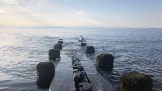 Sherwood Island Park Alta marea il pontile sommerso AVARE3899