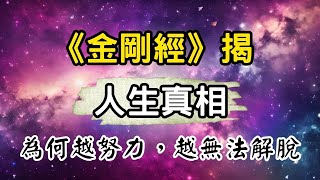 《金剛經》揭人生真相：為何你越努力，越得不到解脫？佛陀早已給出答案！一窺金剛經中的開悟密碼 #開悟 #覺醒 #靈性成長