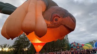 MJ Ballooning | Skywhale Special Shape at Canberra Balloon Spectacular 2020