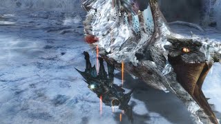 Monster Hunter  3 U - Hunting Glacial Agnaktor