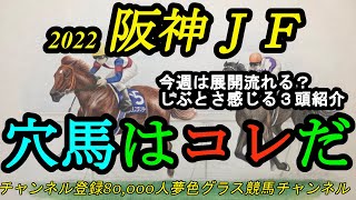 【穴馬はコレだ】2022阪神ジュベナイルフィリーズ！しぶとさを感じる3頭紹介！力関係の比較が難しいだけに穴馬の出番？