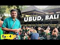 EP 4  Ubud Sightseeing, Bali,| Kanto Lempo Waterfall, Balinese Cusine, Tirta Empul Temple, Indonesia