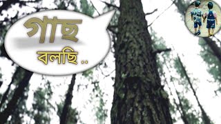 World Environment Day special | পরিবেশ দিবসের কবিতা  | Ami Gach Bolchi | আমি গাছ বলছি |#KobitaOami