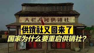 供销社又回来了！国家为什么要重启供销社？