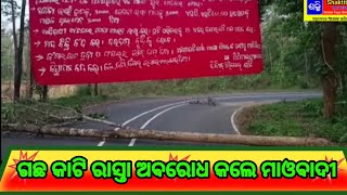 ଗଛ କାଟି ରାସ୍ତା ଅବରୋଧ କଲେ ମାଓବାଦୀ Rayagada # Shaktitv.in