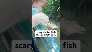 Scary Doctor Fish 무서운 닥터피쉬 #fish