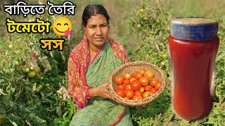 মাঠে থেকে টমেটো🍅তুলে একদম সহজভাবে টমেটো সস তৈরির পদ্ধতি।Tomato Sauce Homemade.