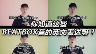 Beatbox常见音的英文表达|How to pronounce name of common bbx sound in English?