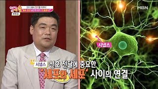 나이 들수록 몸속 전기 약해지는 이유? [엄지의 제왕 146회]