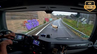 Have You EVER Seen Inside a Truck? POV Truck Driving 4K