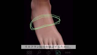 「解剖学」リスフラン関節の触診 Anatomy: Palpation of the Lisfranc joint