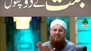 Jannat Kay 2 Phool (Short Clip) Maulana Abdul Habib Attari