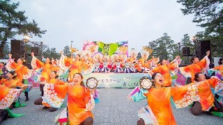 [4K] 京炎そでふれ！京小町　【享代クリエイト賞】受賞演舞　京都さくらよさこい 2019 さくよさ