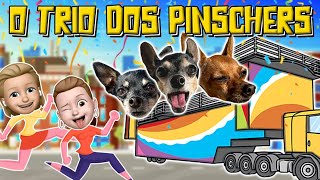 PASSAMOS O CARNAVAL COM NOSSOS CACHORROS NA PISCINA | Vlog em família