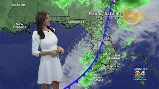 CBSMiami Weather 11/15 12PM