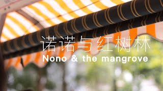 Looking China 看中国《诺诺与红树林 Nono \u0026 The Mangrove》丨美国城市卫视