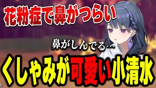 くしゃみが可愛い小清水透【小清水 透/にじさんじ/切り抜き】