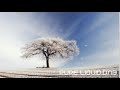 Liquid Drum & Bass Mix (Pure:Liquid) No: 220