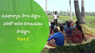 PMDS Crops Impact in Paddy Crop -Part-2 II Natural Farming II West Godavari II A.P.