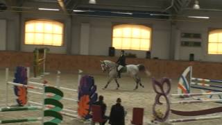 show jumping gelding for sale Shywawa (Clear way)