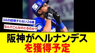 阪神、メキシカンリーグで22本塁打のラモン・ヘルナンデス内野手を獲得へ