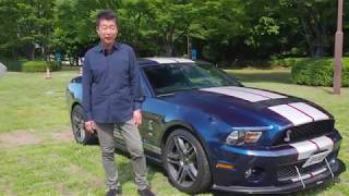 アメ車 2010y フォード・マスタング・シェルビーGT500｜BUBU BCD マッスルカー