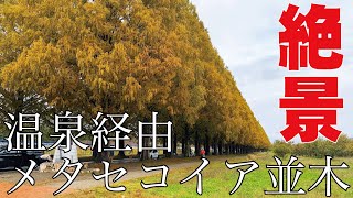 【マキノ高原】温泉→メタセコイア並木（やさい直売所）→最後は、豚汁屋さんで温まる。スキーしなくても楽しいぞ。