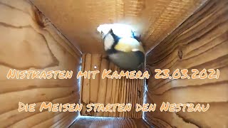 Nistkasten mit Kamera 23.03.2021 - Die Meisen starten den Nestbau