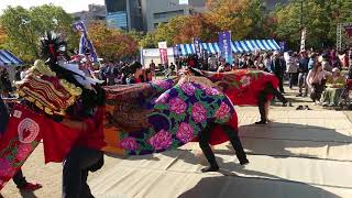 獅子舞王国さぬき2018 大谷獅子組