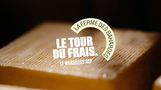 Grand Frais | Le Tour du Frais avec Véronique, productrice de Maroilles AOP