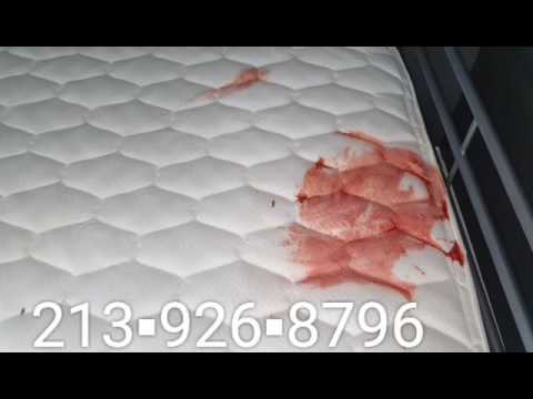 Professional Mattress Cleaning - Vomit Removal Professional Mattress Cleaning - Vomit Removal